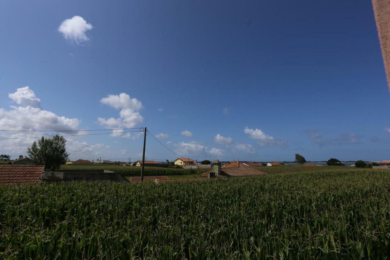 Murtosa Ria De Aveiro White Houseヴィラ エクステリア 写真